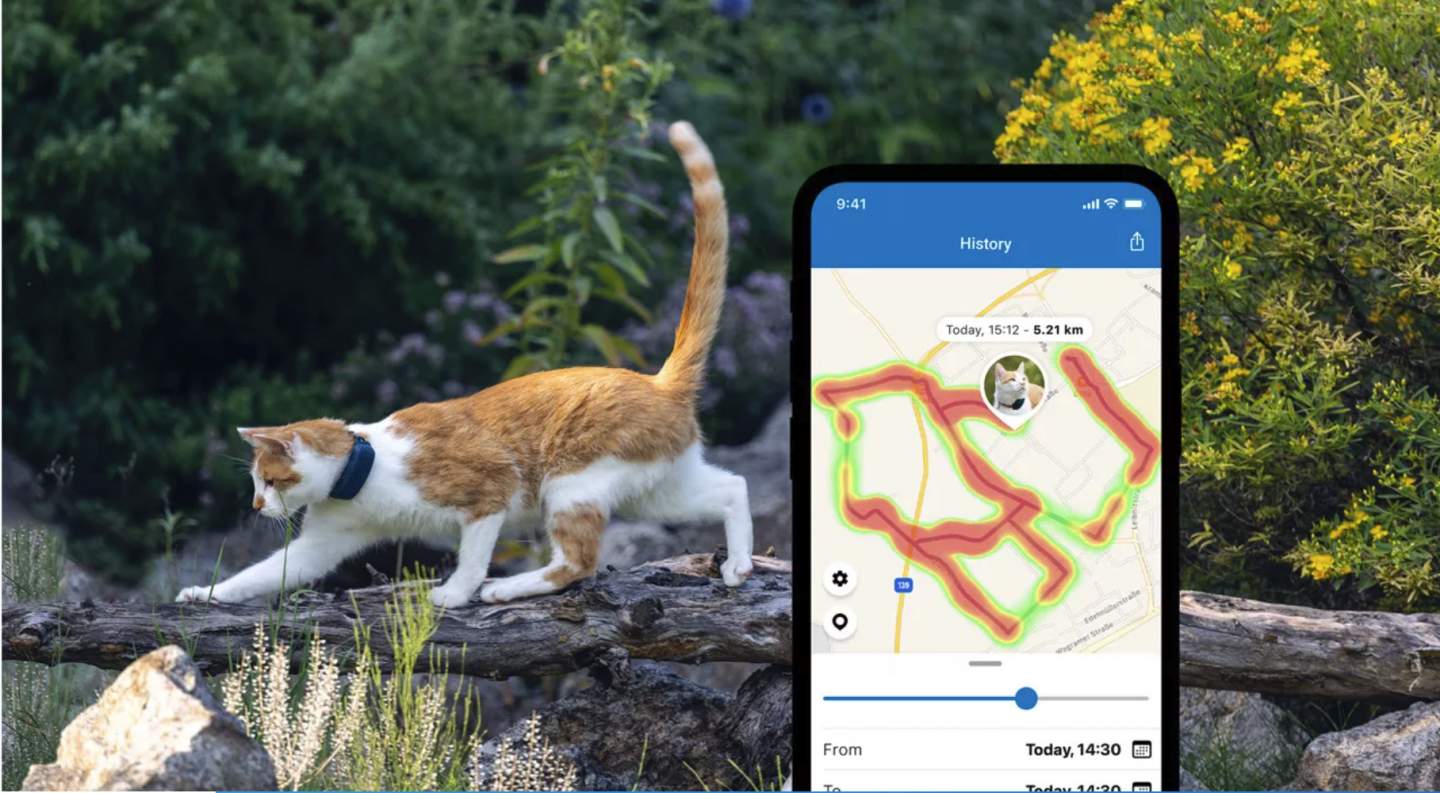 Tractive cat tracker is a real-time spy into feline antics